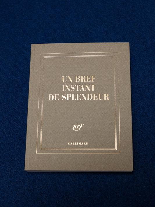 « Un bref instant de splendeur » (carnet carré)