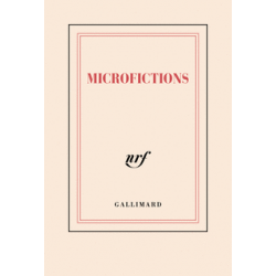 « Microfictions »