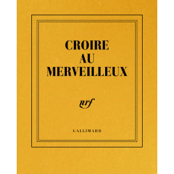 « Croire au merveilleux » (carnet poche de papeterie)